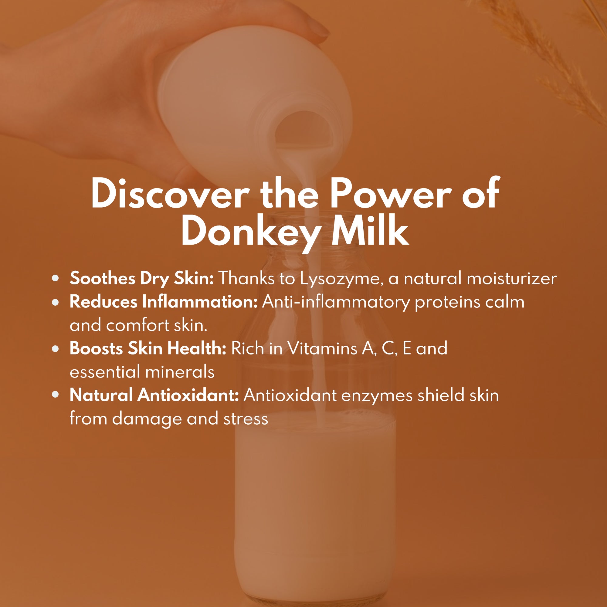 Kumkumadi + Donkey Milk Face Cleanser with Niacinamide & Saffron - Wildflower Naturals