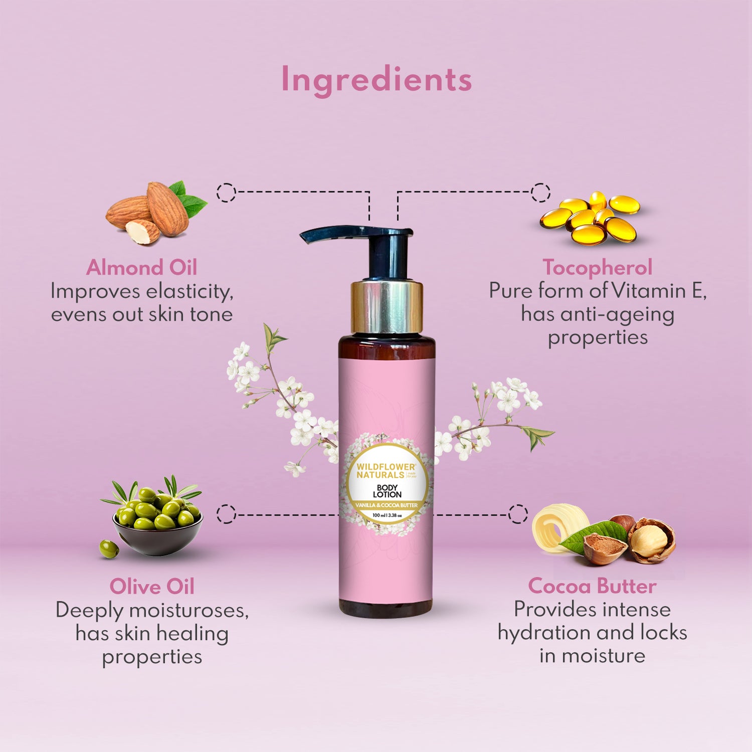 Body Lotion With Vanilla & Cocoa Butter - Wildflower Naturals