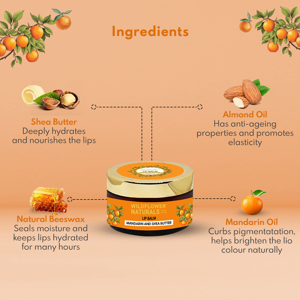 lip-balm-mandarin-and-shea-butter-4