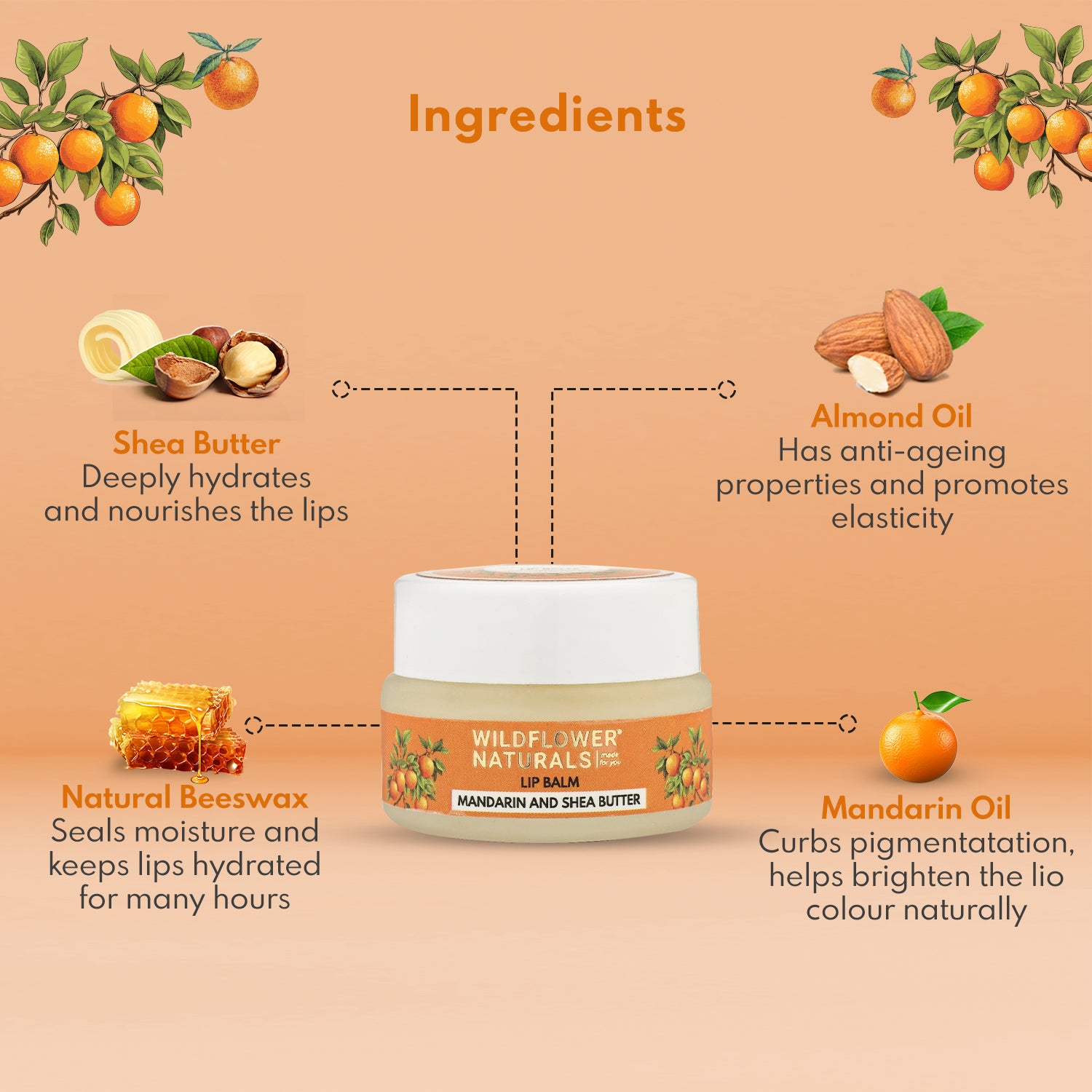Lip Balm Mandarin and Shea Butter - Wildflower Naturals