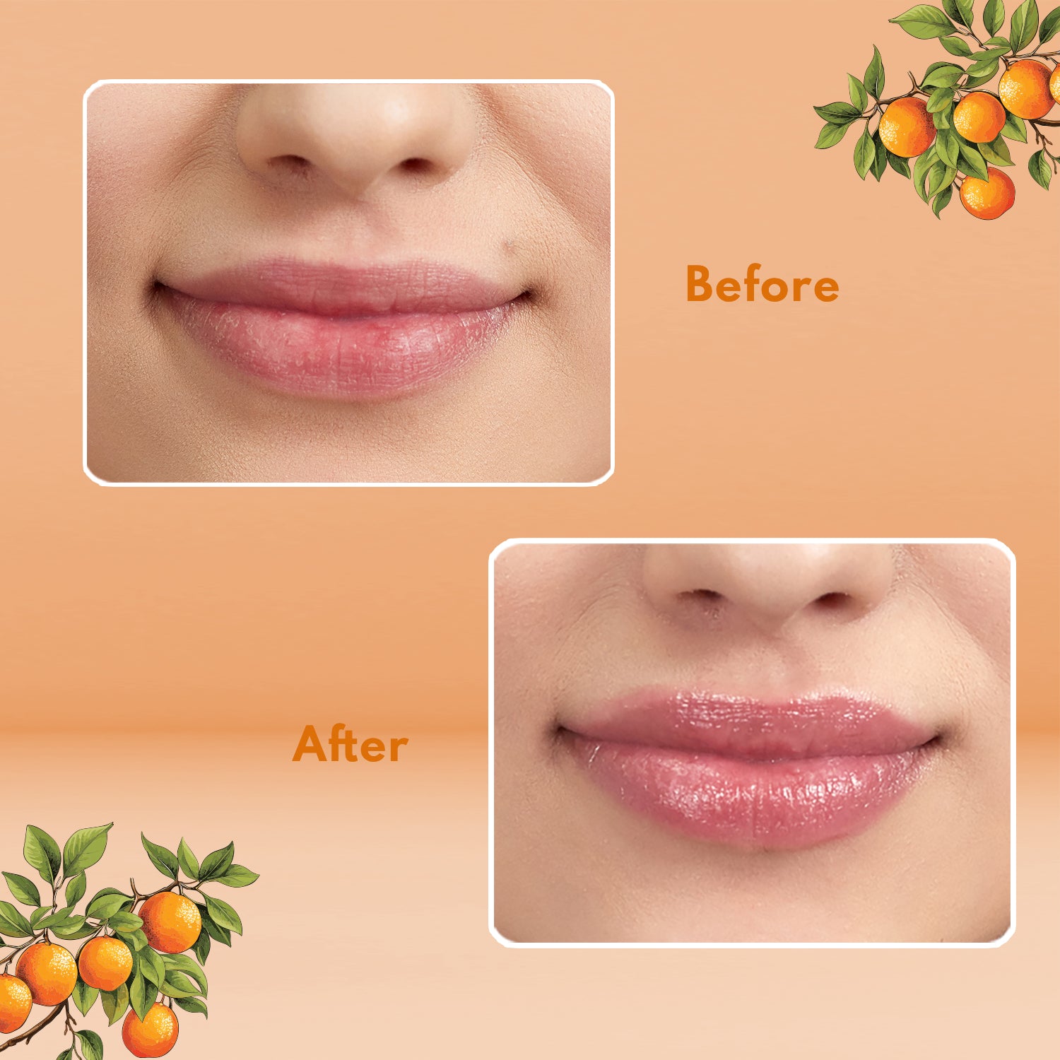 Lip Balm Mandarin and Shea Butter - Wildflower Naturals